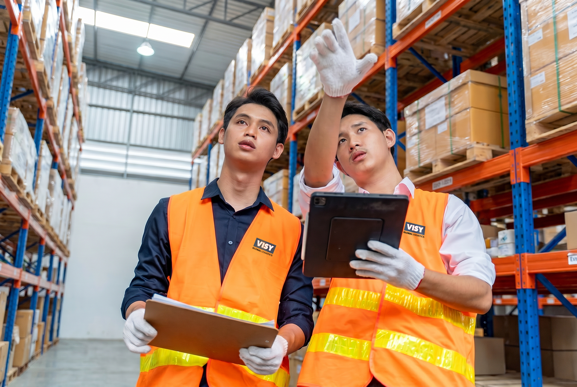 Freight Expertise Built Around Export Success